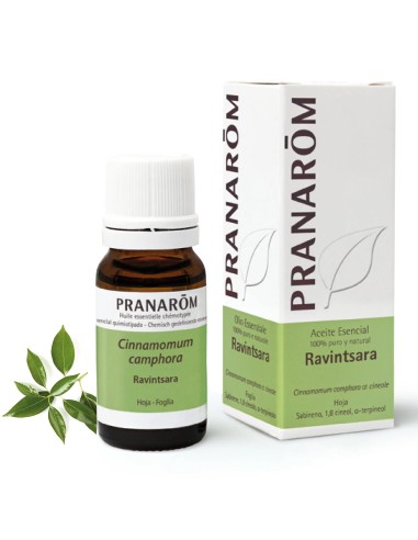Pranarôm Ravintsara 10 ml