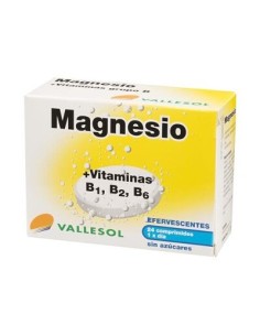 VALLESOL MAGNESIO+B EFERV 24 CAPS