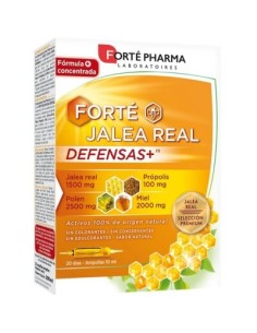 FORTE JALEA REAL DEFENSAS+ 20 AMP