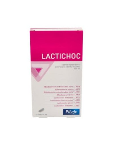 LACTICHOC 20 CAPS PILEJE
