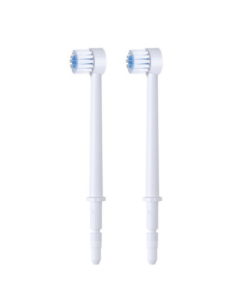 REC IRRIGADOR WATERPIK WP100/WP450 CABEZ