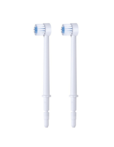 REC IRRIGADOR WATERPIK WP100/WP450 CABEZ