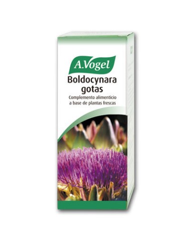 BOLDOCYNARA 100 ML BIOFORCE