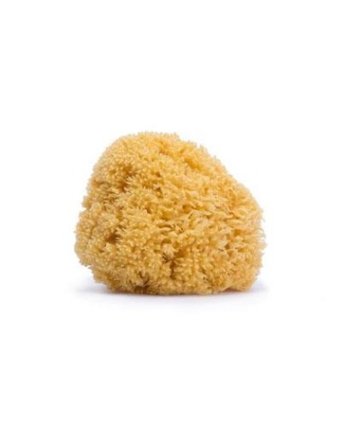 ESPONJA NATURAL SUAVINEX GRANDE