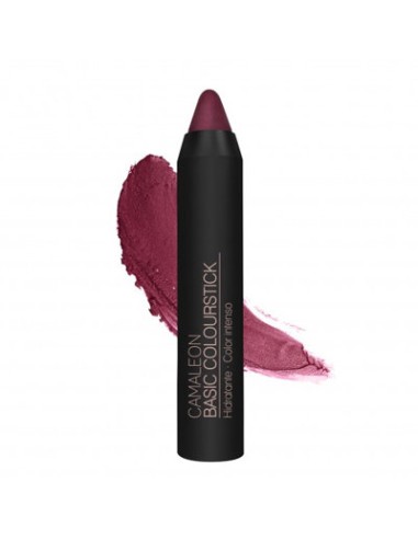 BARRA LABIAL BASIC CAMALEON Nº8 BEREN 4G